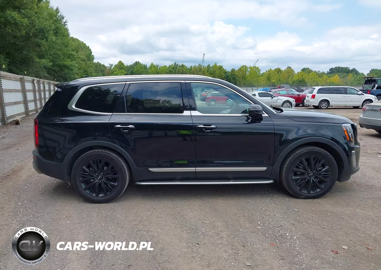 2020 Kia Telluride Sx VIN:5XYP54HCXLG068343 - 13