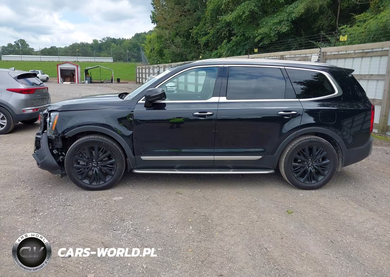 2020 Kia Telluride Sx VIN:5XYP54HCXLG068343 - 14