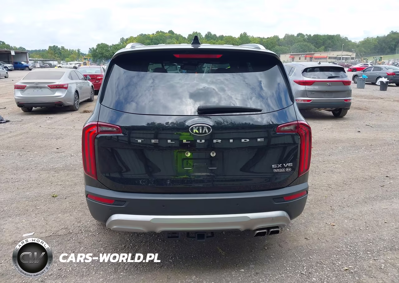 2020 Kia Telluride Sx VIN:5XYP54HCXLG068343 - 16