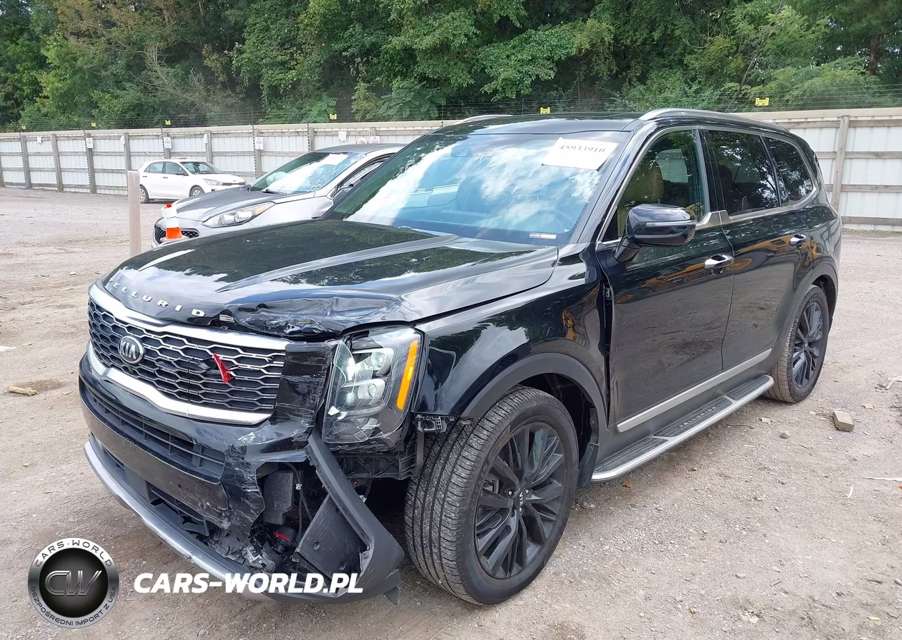 2020 Kia Telluride Sx VIN:5XYP54HCXLG068343 - 2