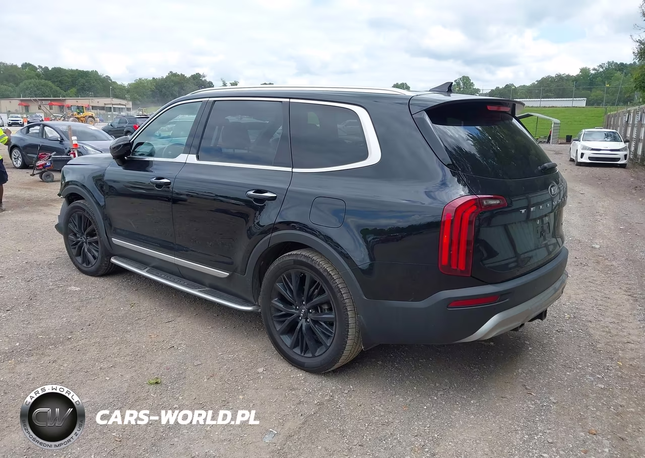 2020 Kia Telluride Sx VIN:5XYP54HCXLG068343 - 3