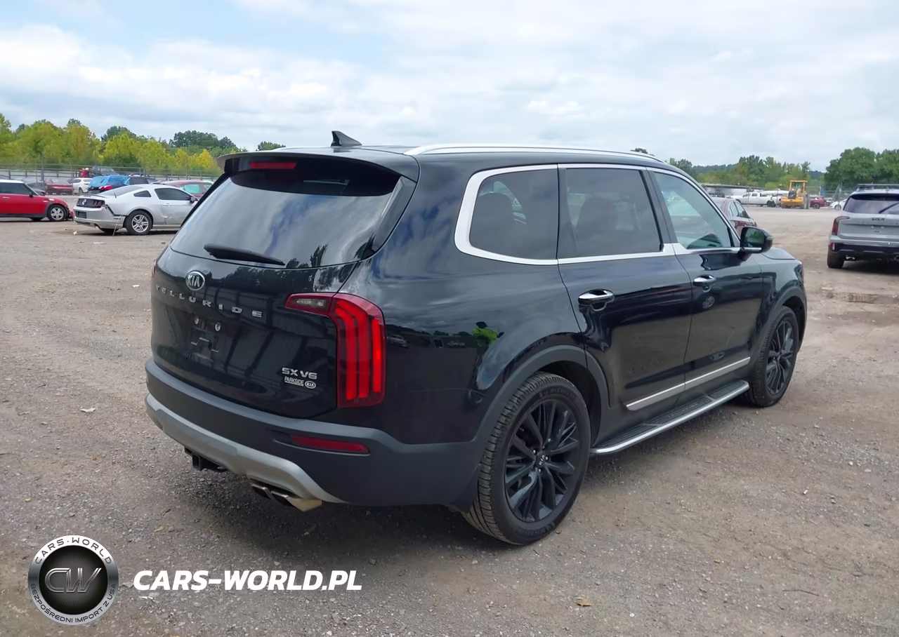 2020 Kia Telluride Sx VIN:5XYP54HCXLG068343 - 4