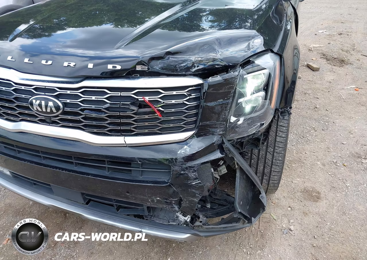 2020 Kia Telluride Sx VIN:5XYP54HCXLG068343 - 6