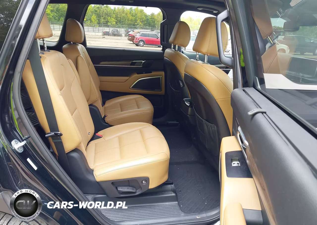 2020 Kia Telluride Sx VIN:5XYP54HCXLG068343 - 8