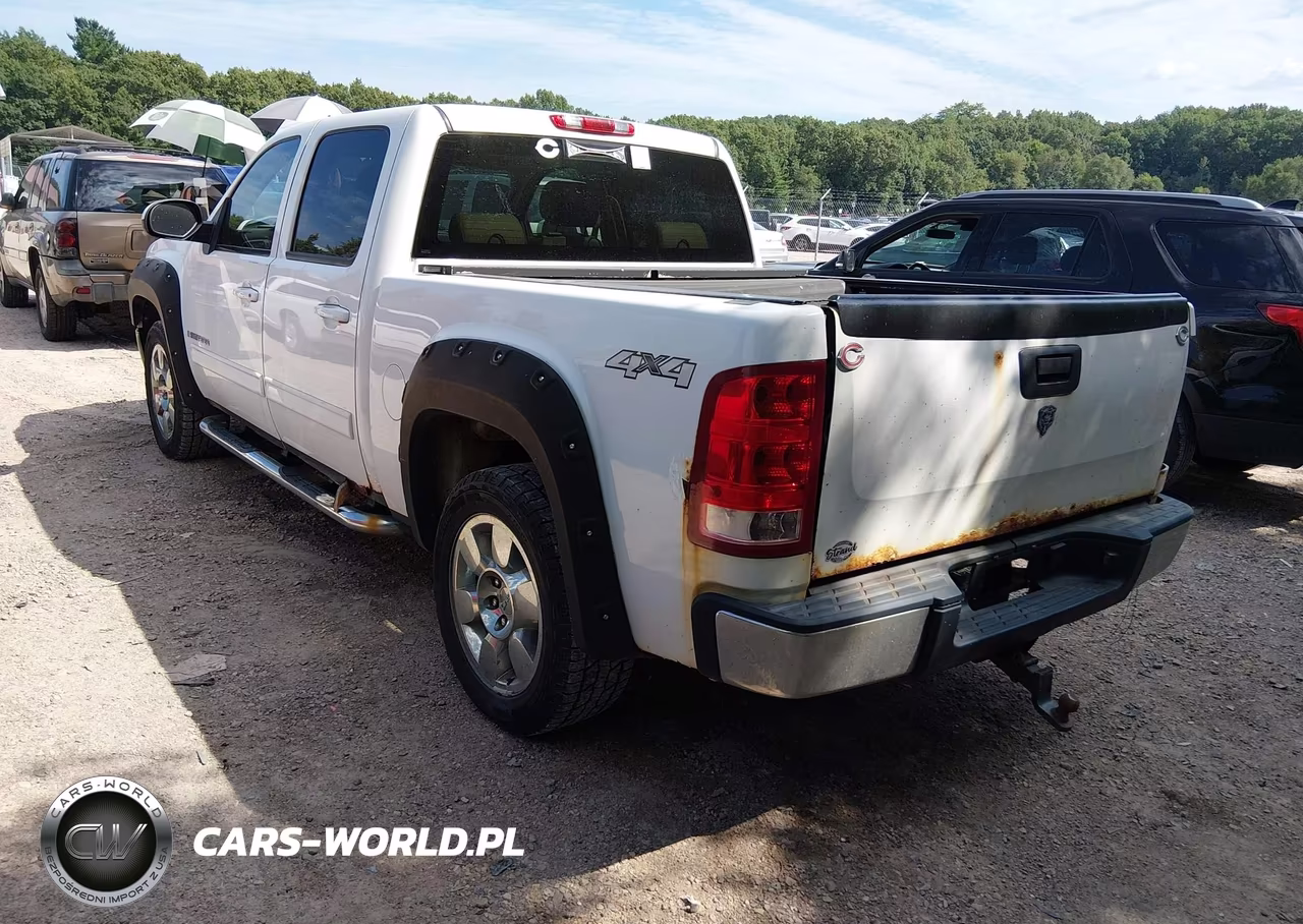 2009 GMC Sierra 1500 Slt VIN:3GTEK33M49G244212 - 3