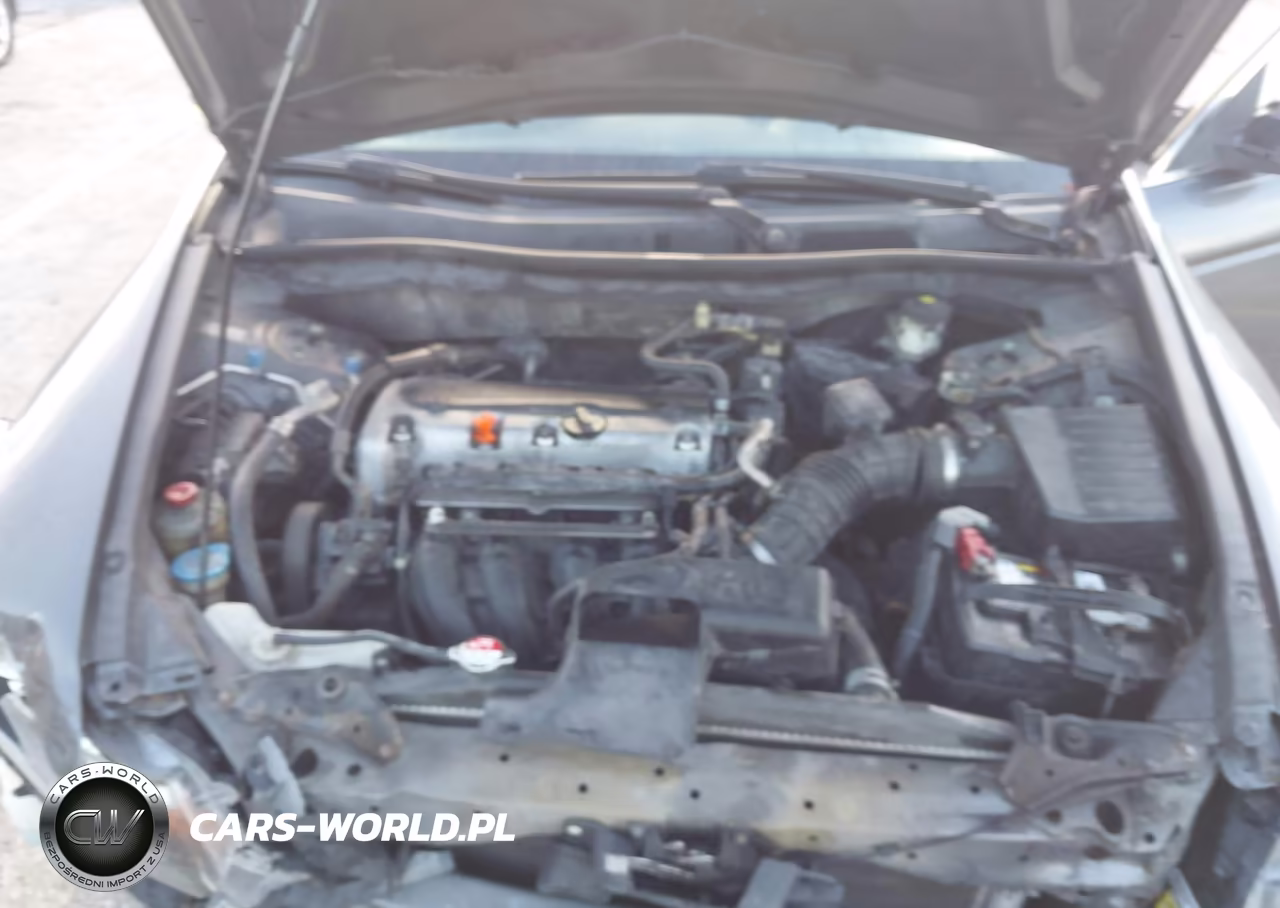 2010 Honda Accord Lxp VIN:1HGCP2F47AA197552 - 10
