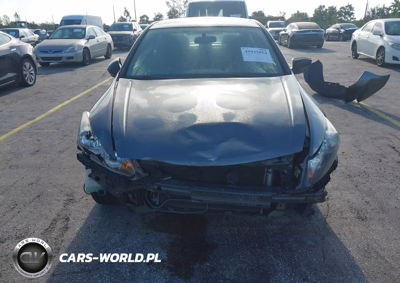 2010 Honda Accord Lxp VIN:1HGCP2F47AA197552 - 6