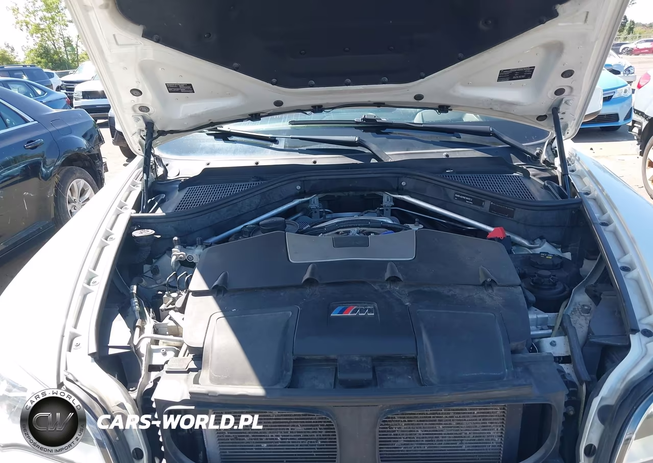 2013 BMW X6 M VIN:5YMGZ0C59D0C40160 - 10