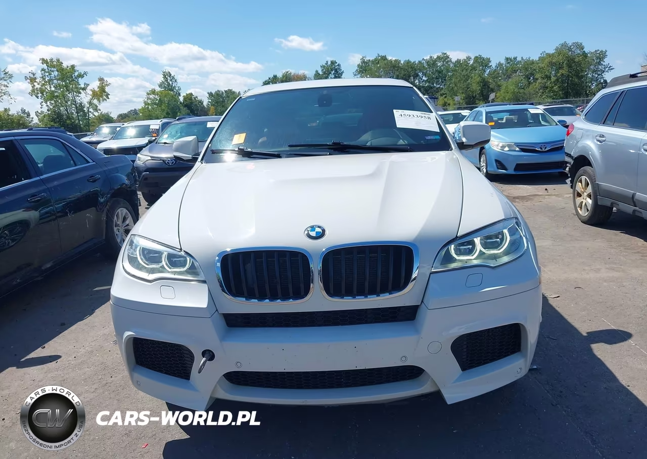 2013 BMW X6 M VIN:5YMGZ0C59D0C40160 - 12