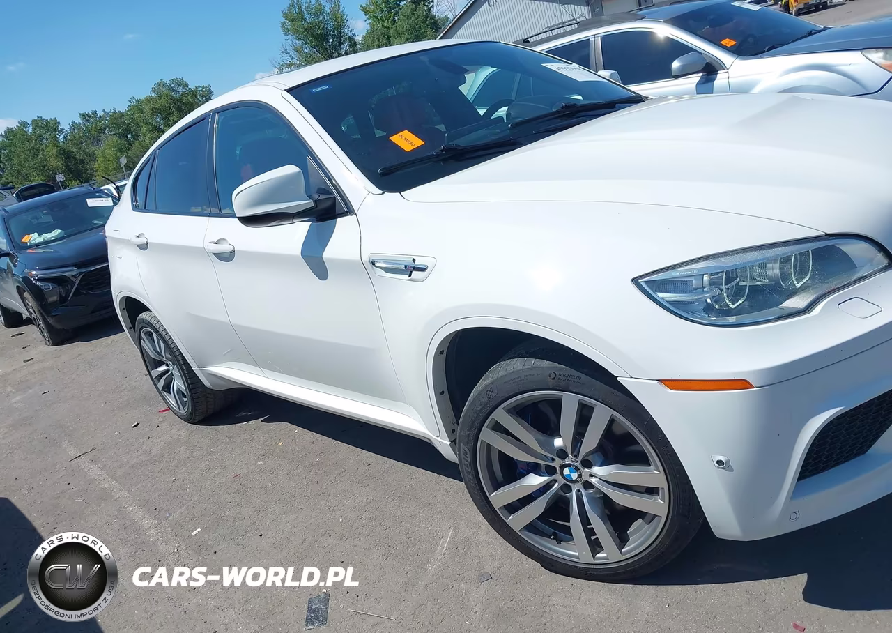 2013 BMW X6 M VIN:5YMGZ0C59D0C40160 - 13