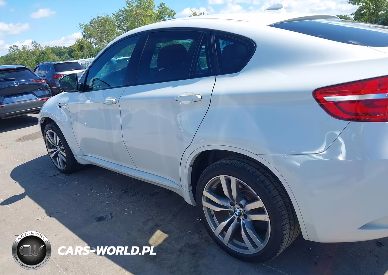 2013 BMW X6 M VIN:5YMGZ0C59D0C40160 - 14