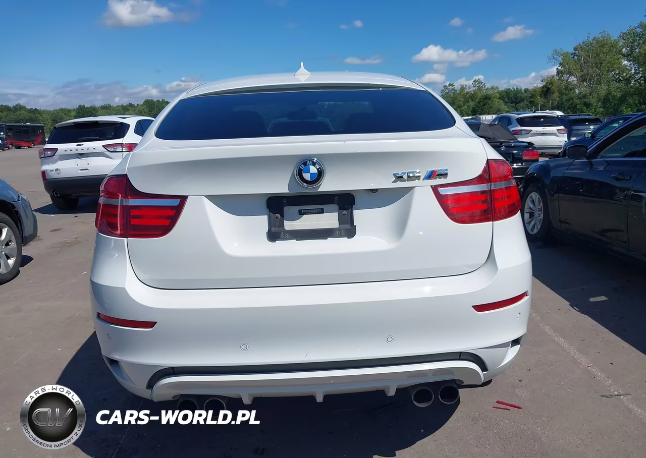 2013 BMW X6 M VIN:5YMGZ0C59D0C40160 - 16