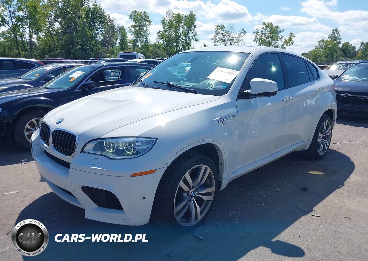2013 BMW X6 M VIN:5YMGZ0C59D0C40160 - 2