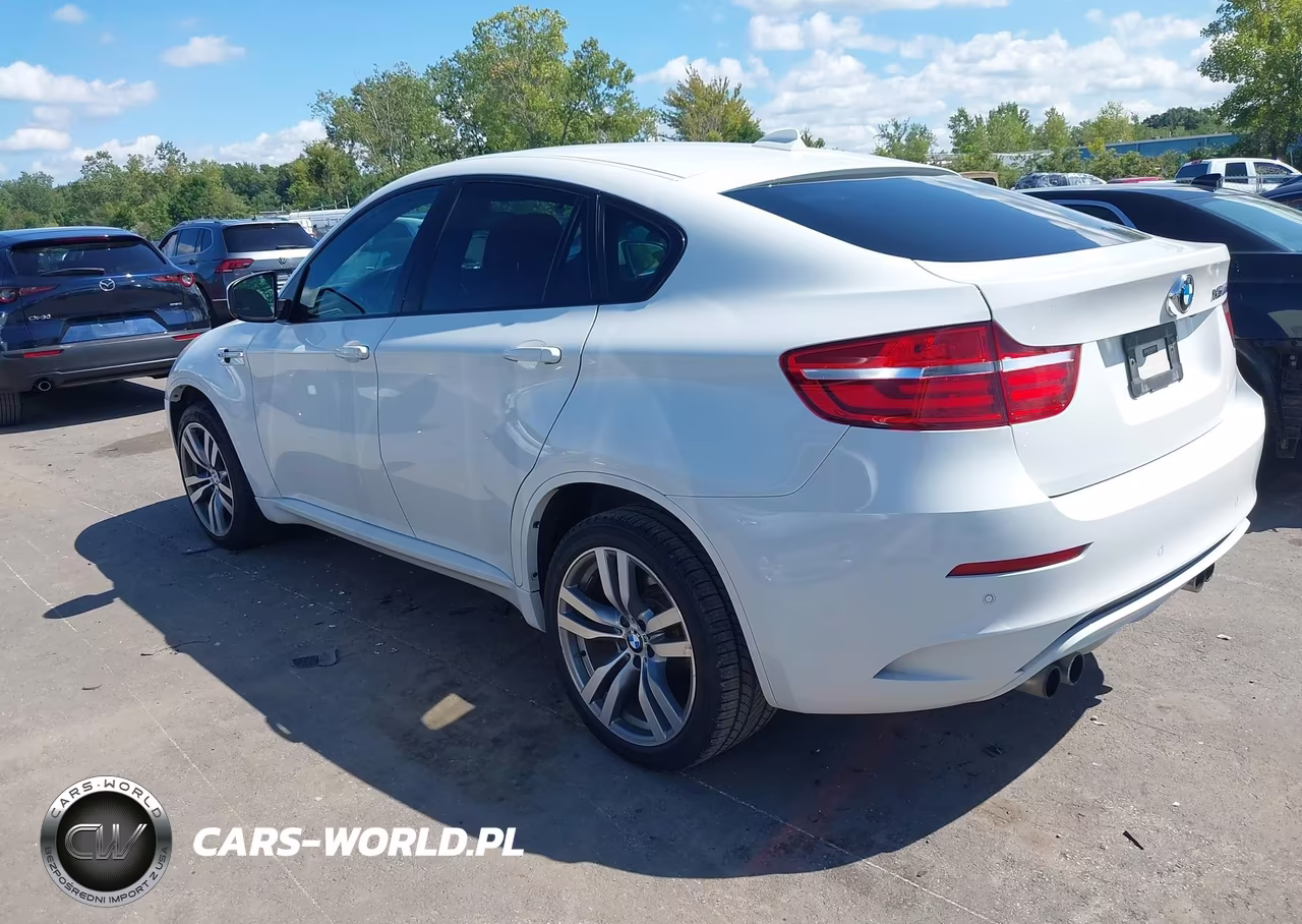 2013 BMW X6 M VIN:5YMGZ0C59D0C40160 - 3