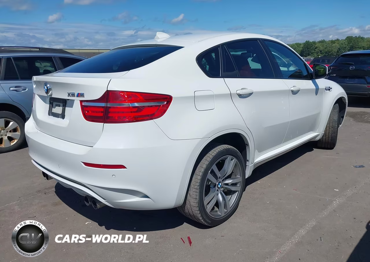 2013 BMW X6 M VIN:5YMGZ0C59D0C40160 - 4
