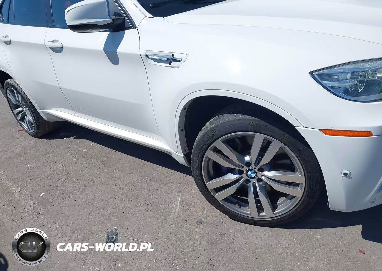 2013 BMW X6 M VIN:5YMGZ0C59D0C40160 - 6