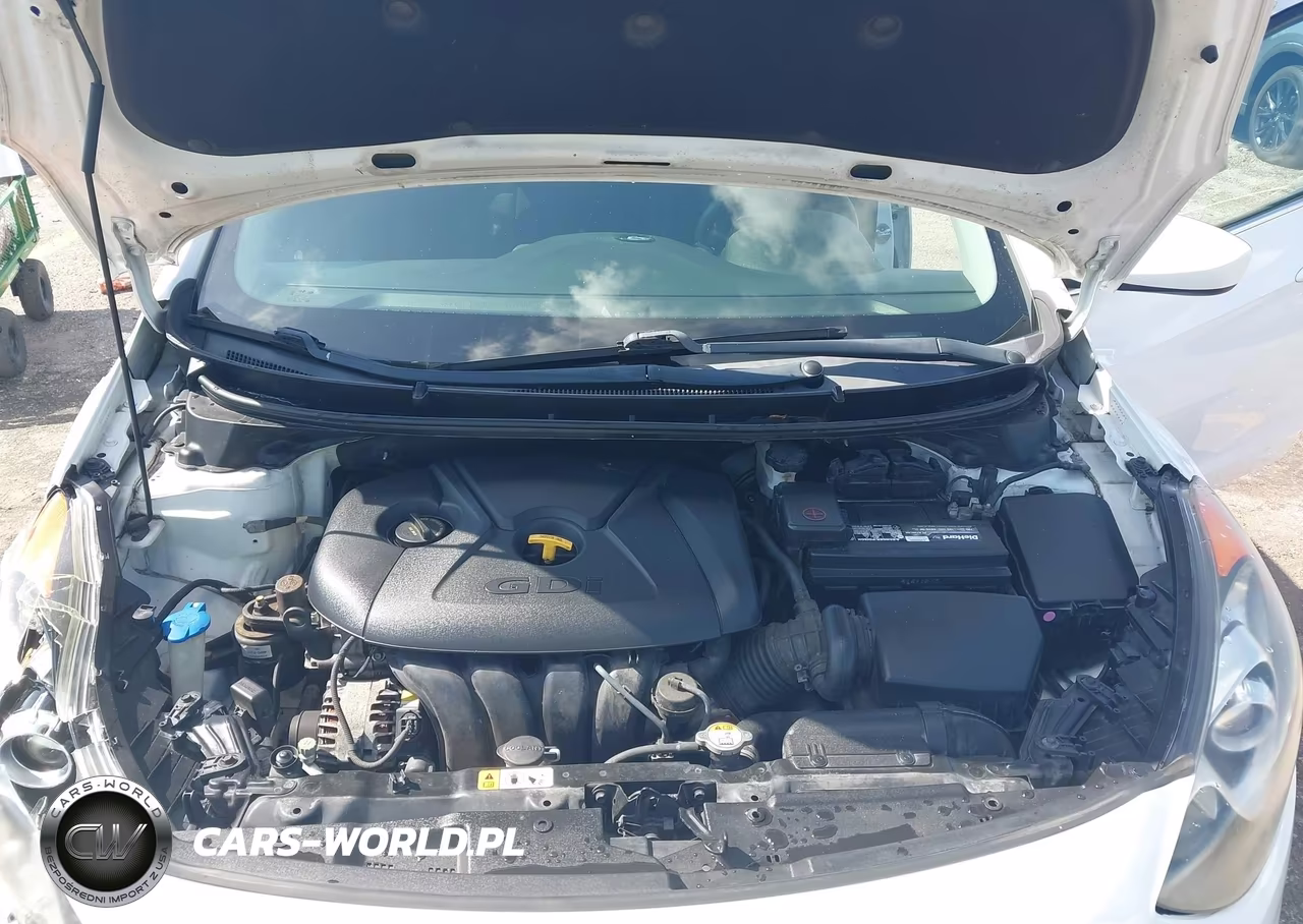2017 Hyundai Elantra Gt VIN:KMHD35LH7HU366920 - 10