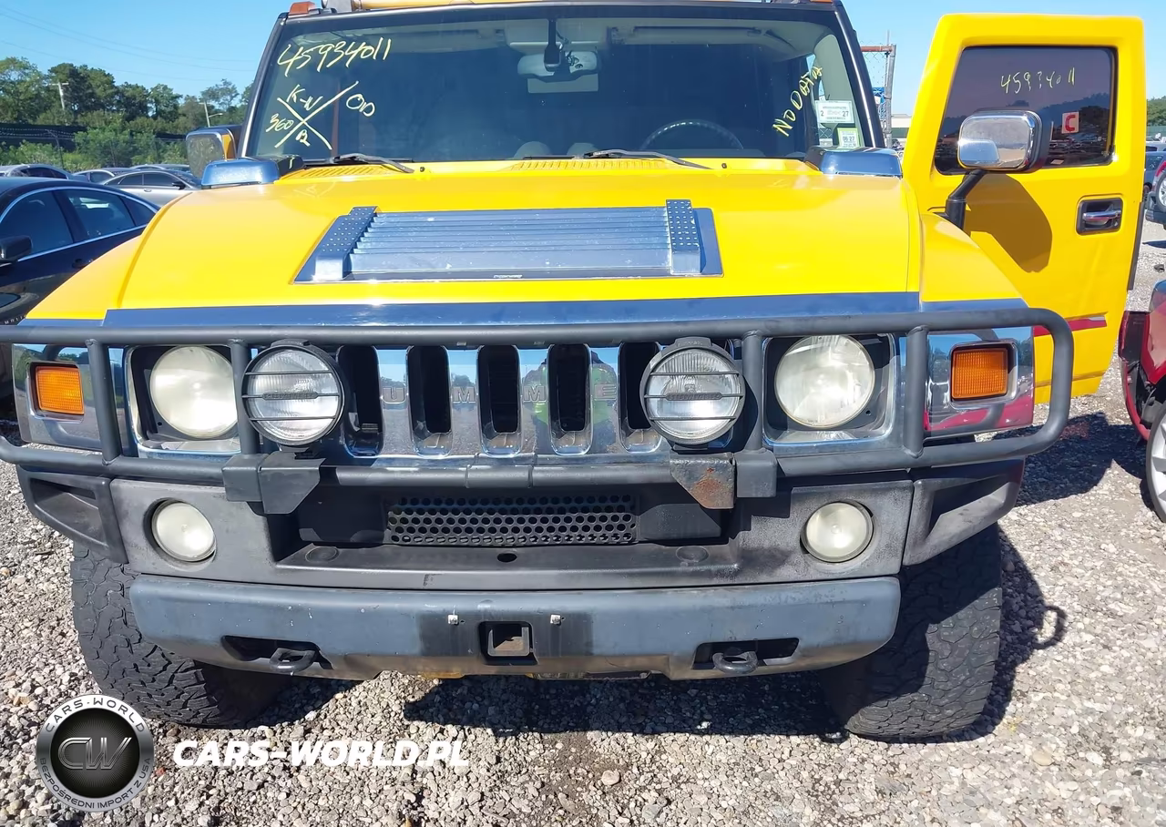 2003 Hummer H2 VIN:5GRGN23UX3H112187 - 10