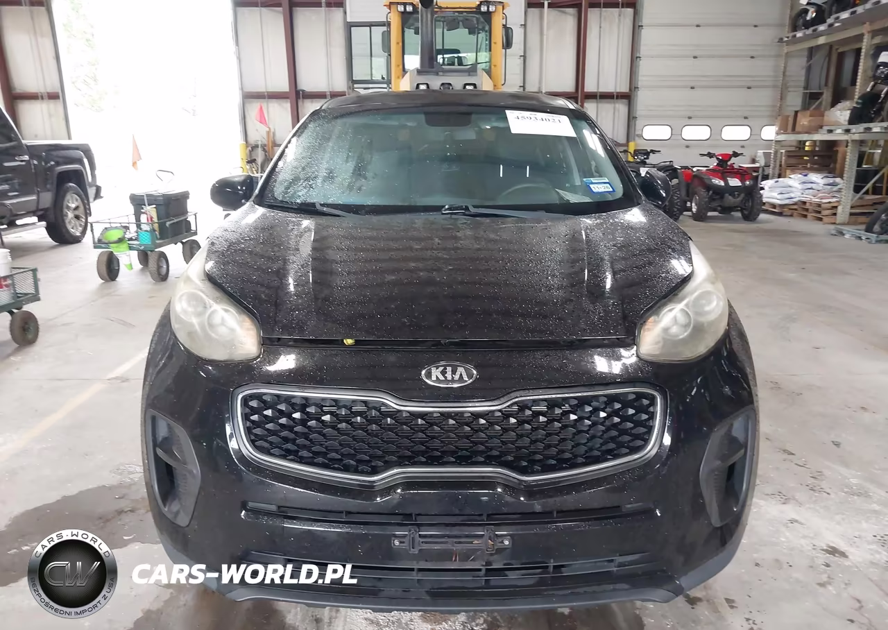 2017 Kia Sportage Lx VIN:KNDPM3AC6H7077035 - 12
