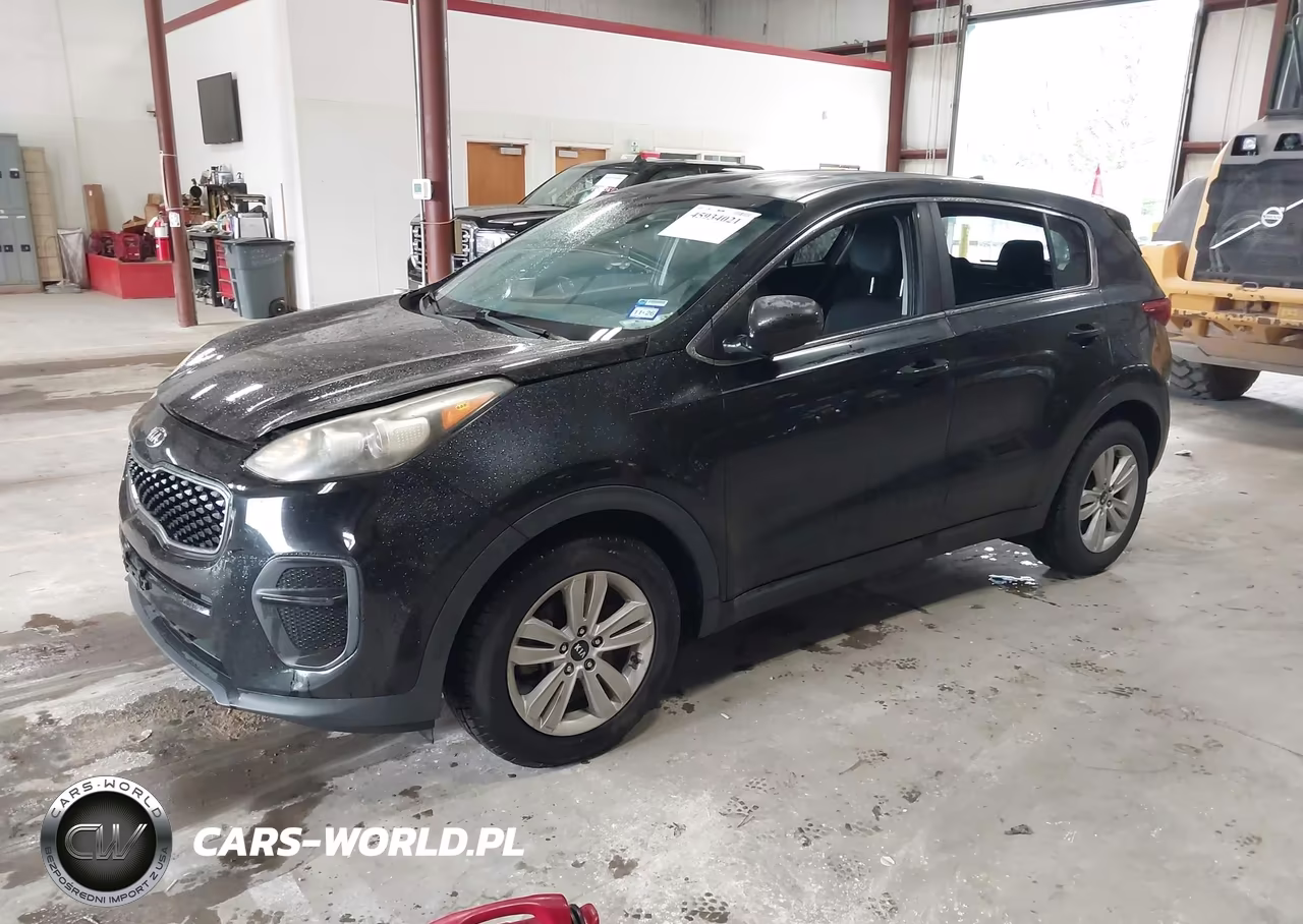 2017 Kia Sportage Lx VIN:KNDPM3AC6H7077035 - 2
