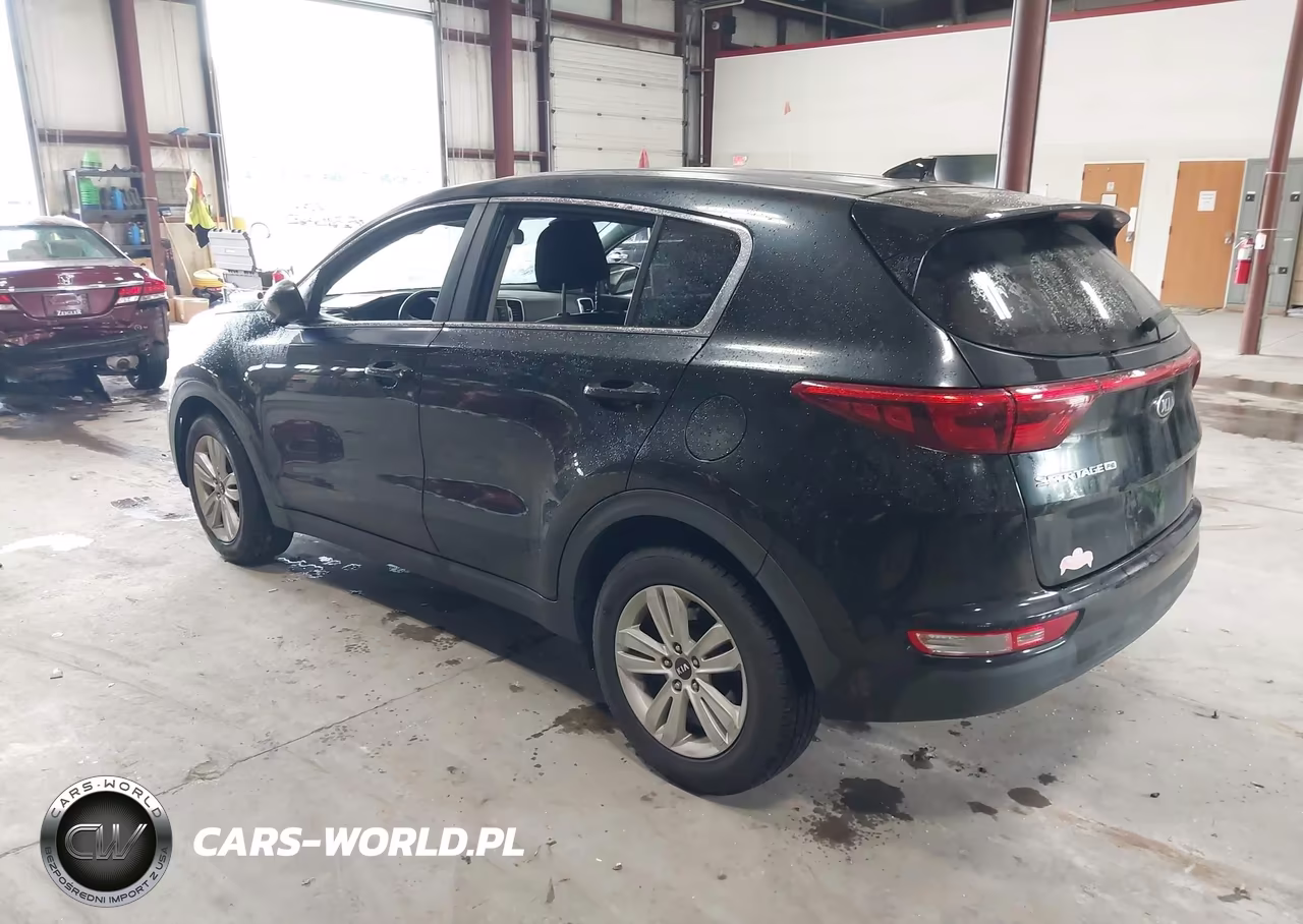 2017 Kia Sportage Lx VIN:KNDPM3AC6H7077035 - 3