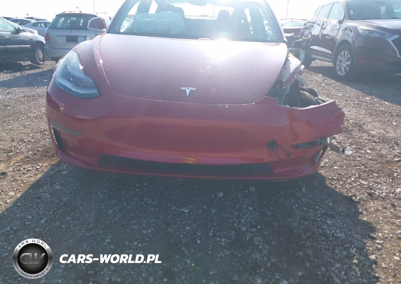2019 Tesla Model 3 Long Range-Mid Range-Standard Range-Standard Range Plus VIN:5YJ3E1EA0KF402174 - 11