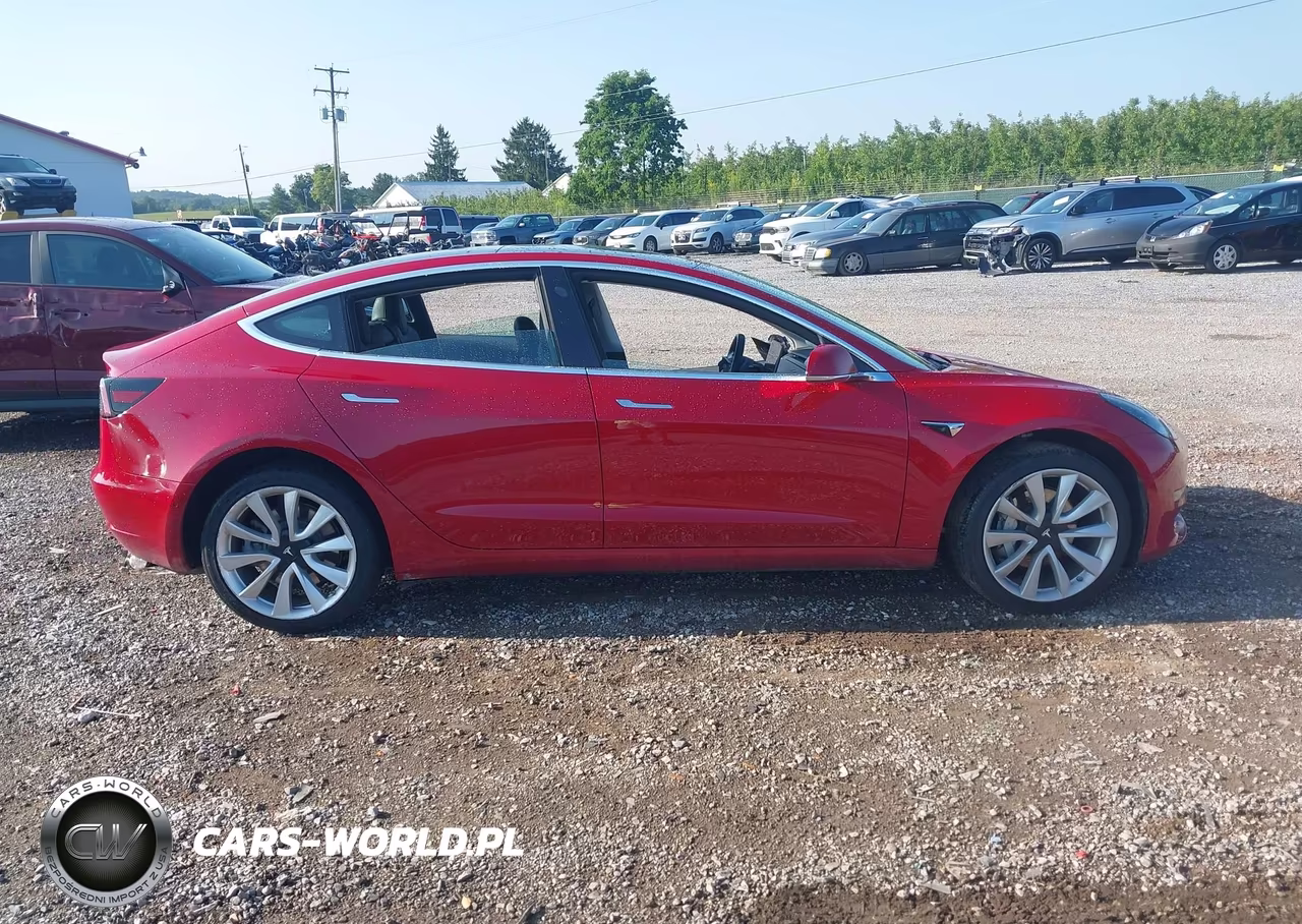 2019 Tesla Model 3 Long Range-Mid Range-Standard Range-Standard Range Plus VIN:5YJ3E1EA0KF402174 - 12