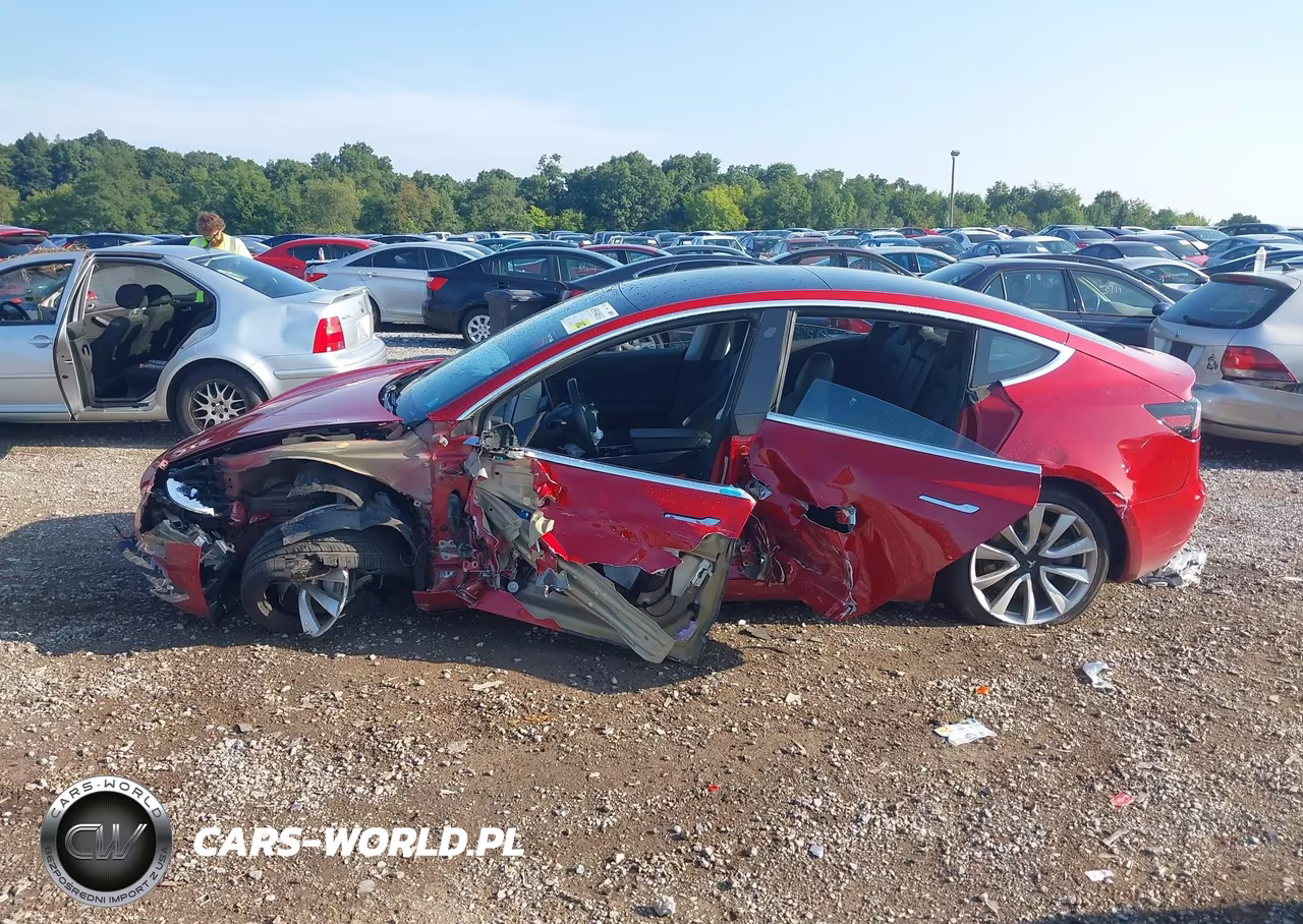 2019 Tesla Model 3 Long Range-Mid Range-Standard Range-Standard Range Plus VIN:5YJ3E1EA0KF402174 - 13