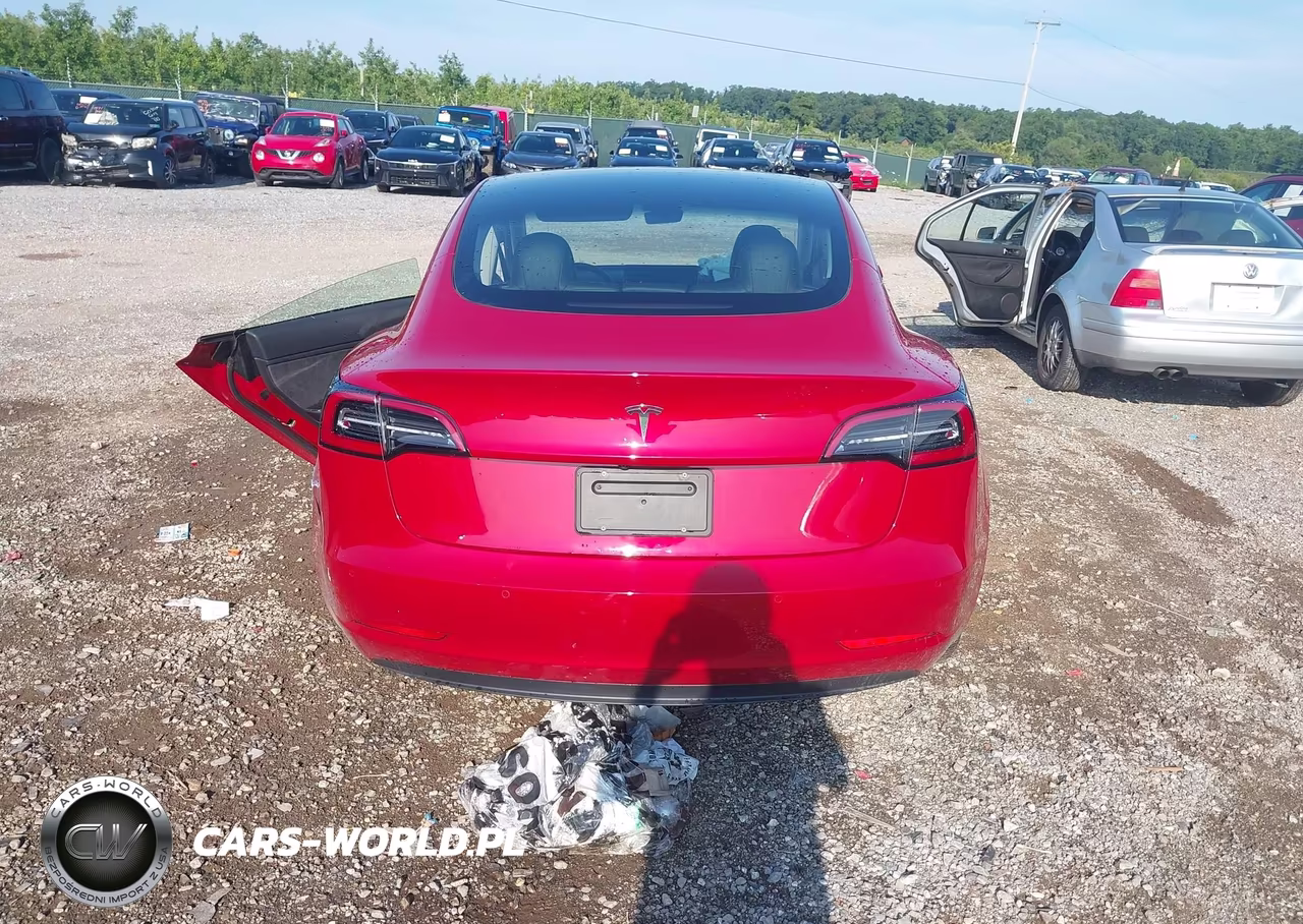 2019 Tesla Model 3 Long Range-Mid Range-Standard Range-Standard Range Plus VIN:5YJ3E1EA0KF402174 - 15