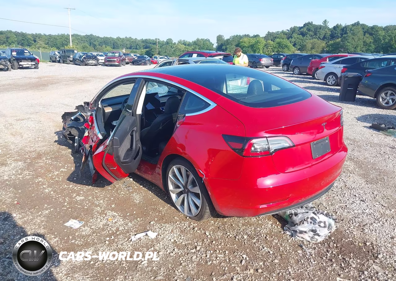 2019 Tesla Model 3 Long Range-Mid Range-Standard Range-Standard Range Plus VIN:5YJ3E1EA0KF402174 - 3