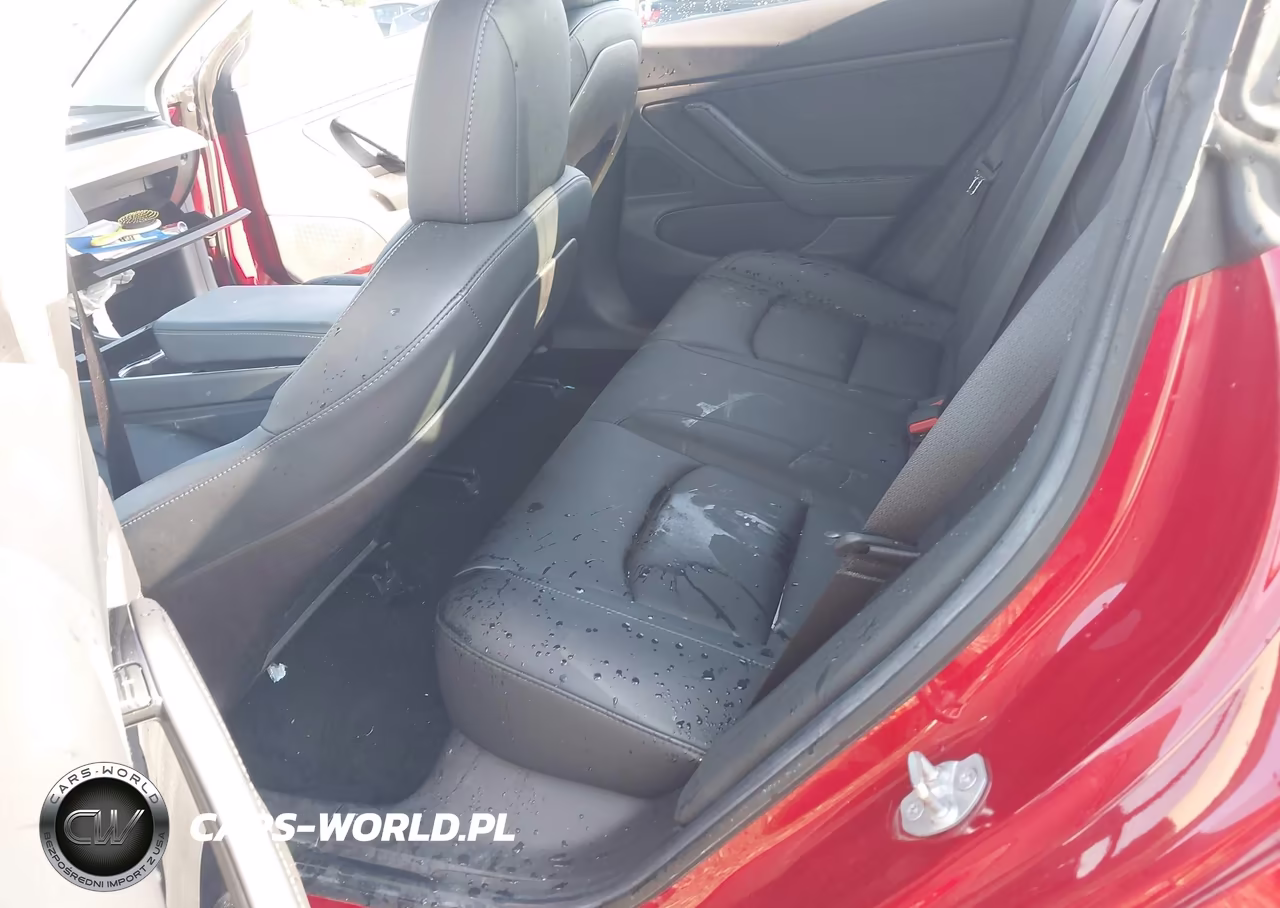 2019 Tesla Model 3 Long Range-Mid Range-Standard Range-Standard Range Plus VIN:5YJ3E1EA0KF402174 - 8