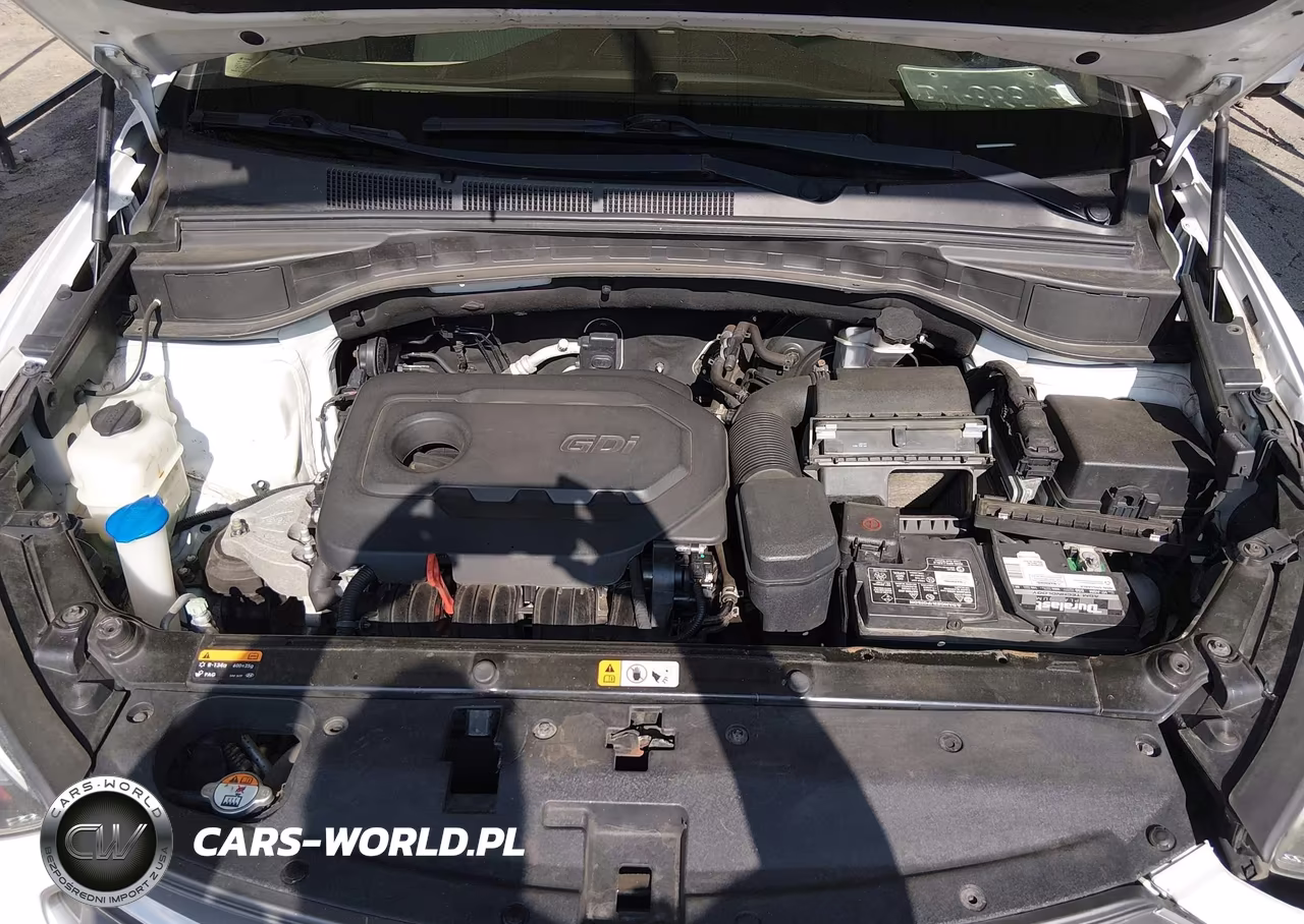 2017 Hyundai Santa Fe Sport 2.4L VIN:5NMZUDLB7HH038496 - 10