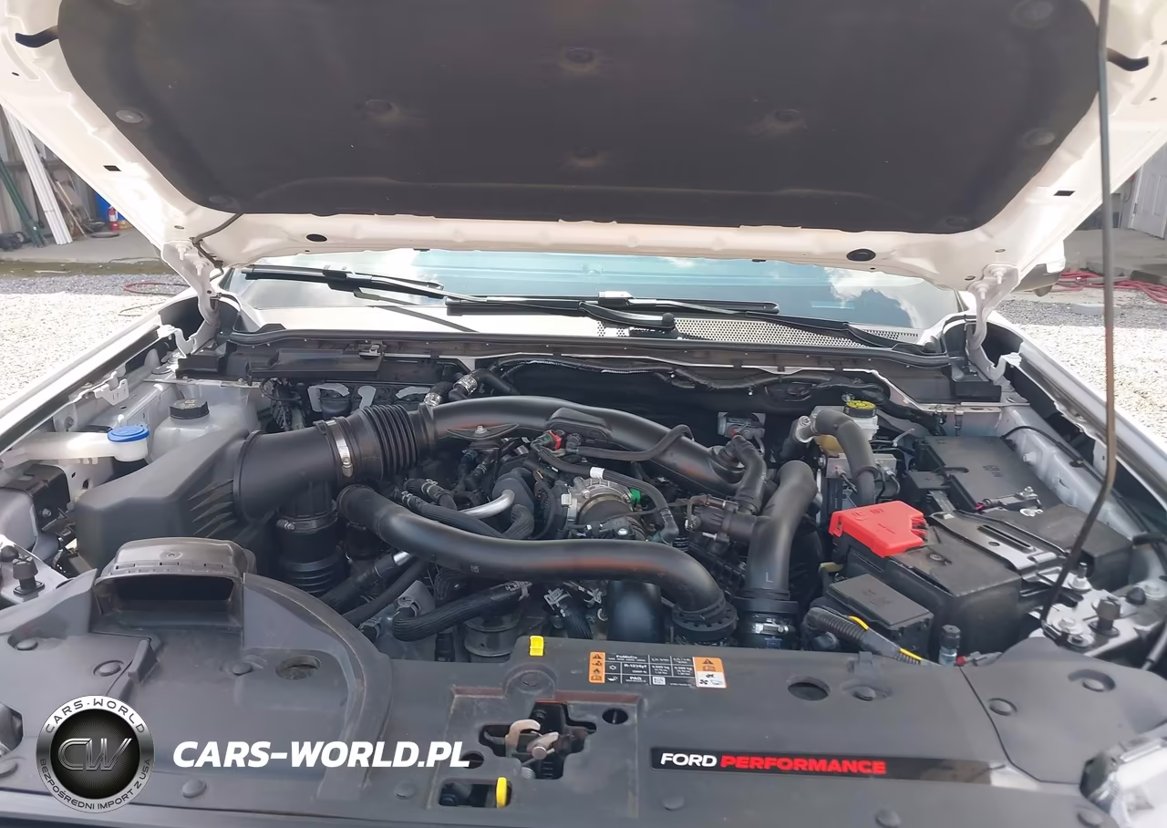 2025 Ford Ranger Raptor VIN:1FTER4LRXSLE75640 - 10