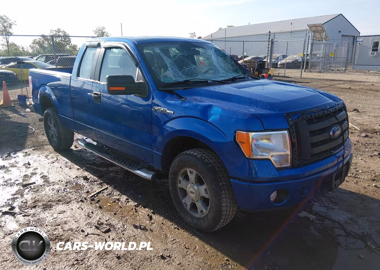 2010 Ford F-150 Stx-Xl – zdjęcie 1 z 17