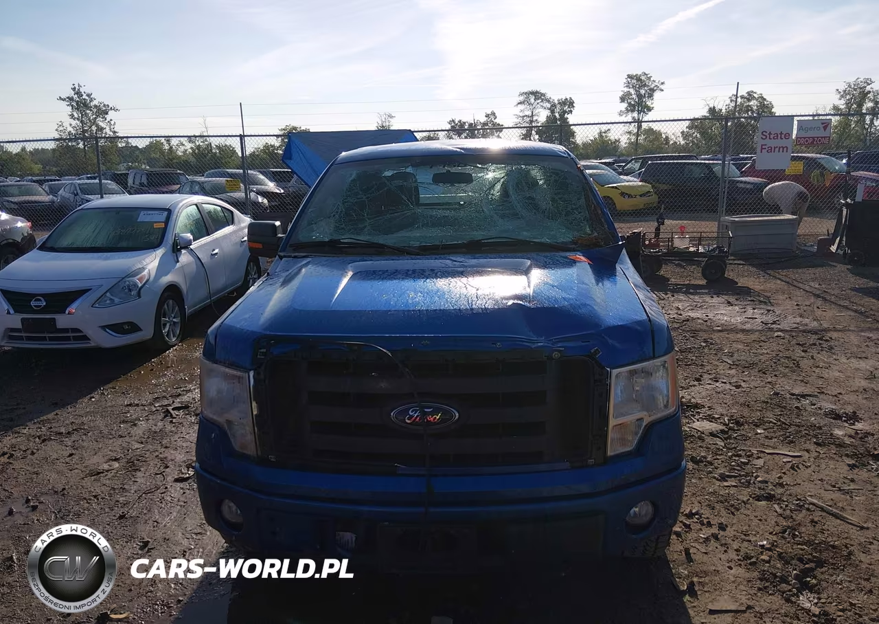 2010 Ford F-150 Stx-Xl VIN:1FTEX1EW0AFA91757 - 12