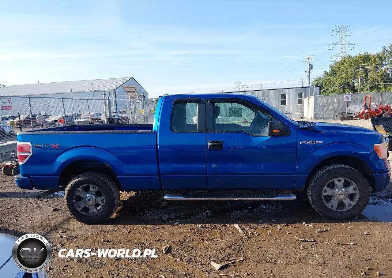 2010 Ford F-150 Stx-Xl VIN:1FTEX1EW0AFA91757 - 13