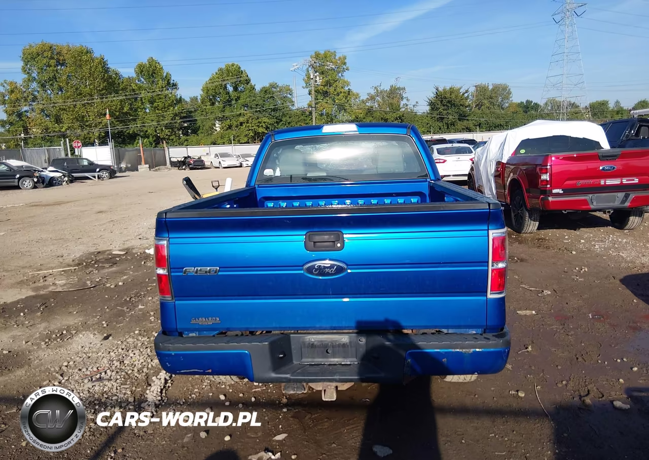 2010 Ford F-150 Stx-Xl VIN:1FTEX1EW0AFA91757 - 16