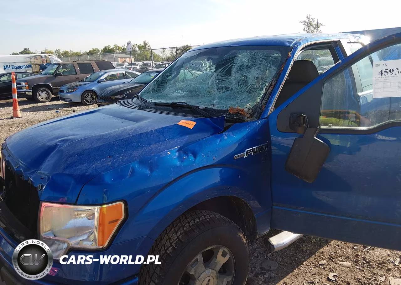 2010 Ford F-150 Stx-Xl VIN:1FTEX1EW0AFA91757 - 17