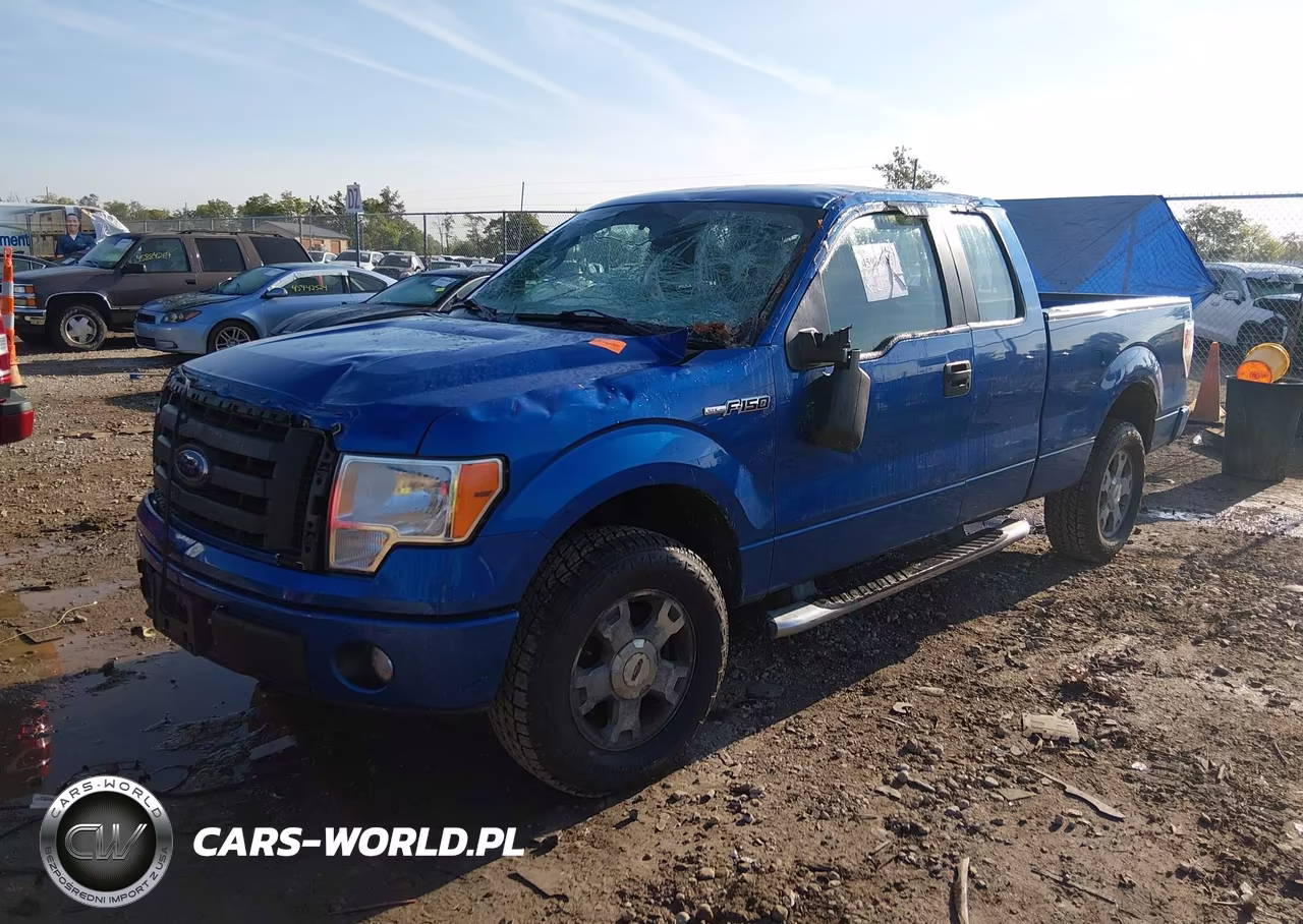 2010 Ford F-150 Stx-Xl VIN:1FTEX1EW0AFA91757 - 2