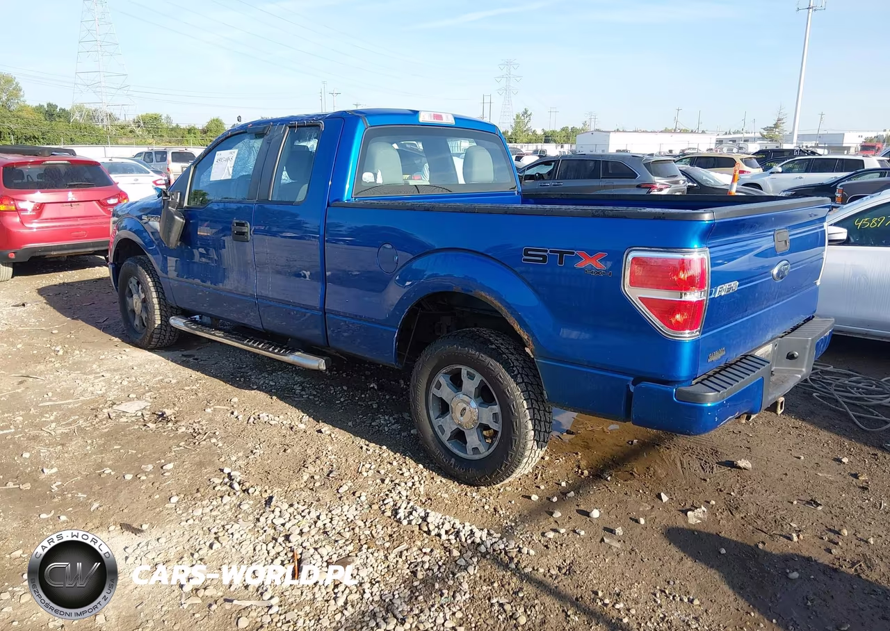 2010 Ford F-150 Stx-Xl VIN:1FTEX1EW0AFA91757 - 3