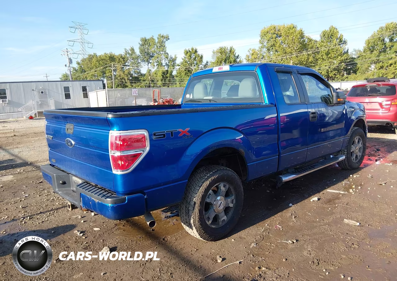 2010 Ford F-150 Stx-Xl VIN:1FTEX1EW0AFA91757 - 4