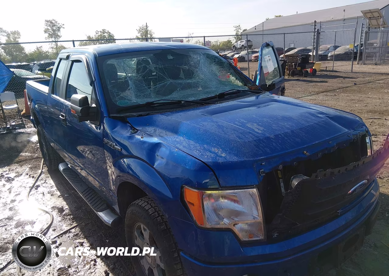 2010 Ford F-150 Stx-Xl VIN:1FTEX1EW0AFA91757 - 6