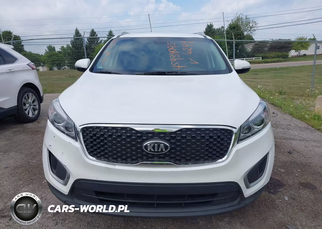 2018 Kia Sorento 3.3L Lx VIN:5XYPGDA59JG376249 - 12
