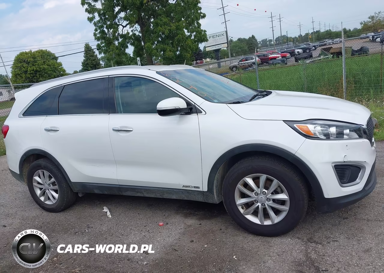 2018 Kia Sorento 3.3L Lx VIN:5XYPGDA59JG376249 - 13