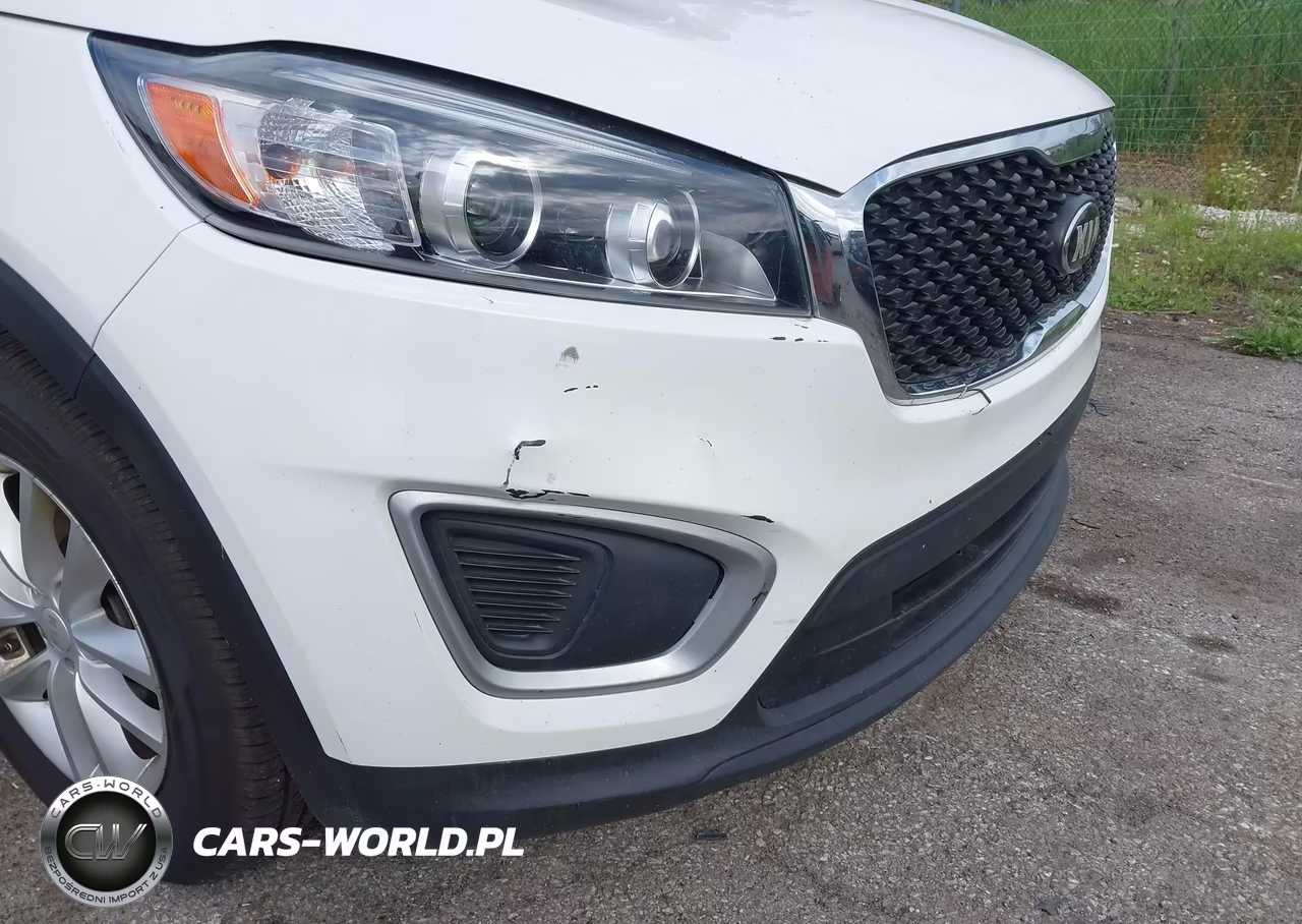 2018 Kia Sorento 3.3L Lx VIN:5XYPGDA59JG376249 - 17
