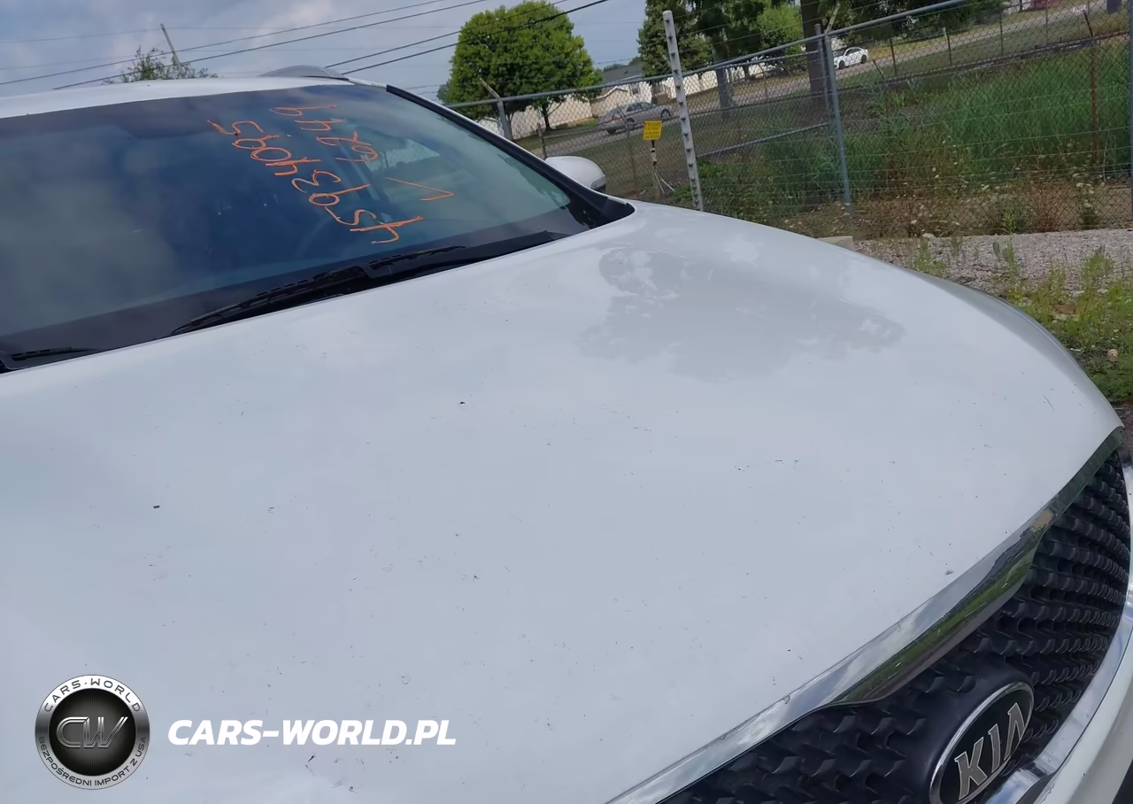 2018 Kia Sorento 3.3L Lx VIN:5XYPGDA59JG376249 - 6