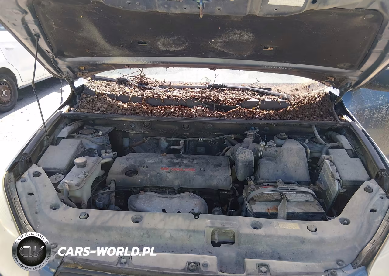 2006 Toyota Rav4 VIN:JTMZD33V966012853 - 10
