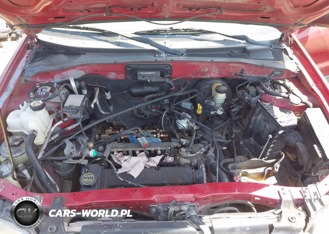 2004 Ford Escape Xlt VIN:1FMYU03154KA72443 - 10