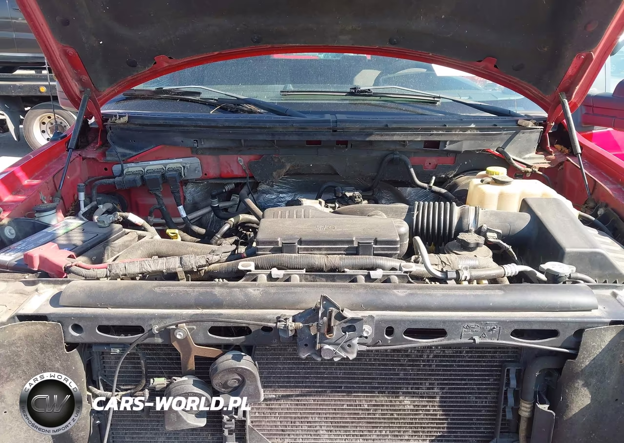 2010 Ford F-150 Stx-Xl-Xl W-Mid-Box Prep-Xlt-Xlt W-Mid-Box Prep VIN:1FTMF1CW8AKB05798 - 10