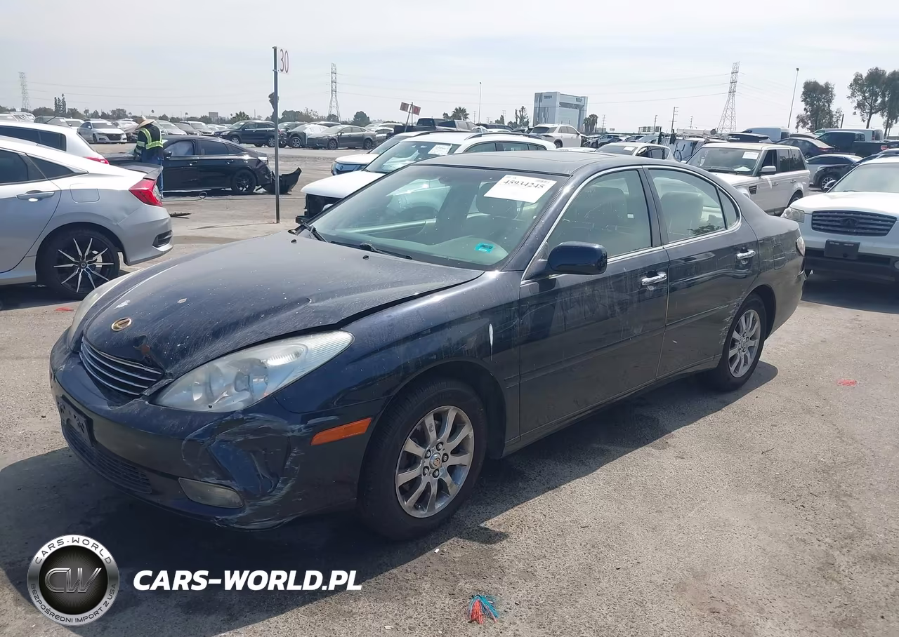 2002 Lexus Es 300 VIN:JTHBF30G025013695 - 2